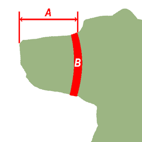 Как да вземем мерки за определяне размера на намордника
