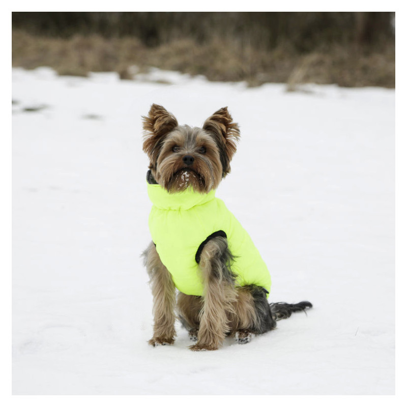 Есенно-зимно палто за куче - Kerbl Charmonix