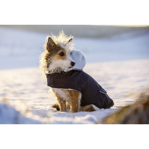 Палто за куче Teddy