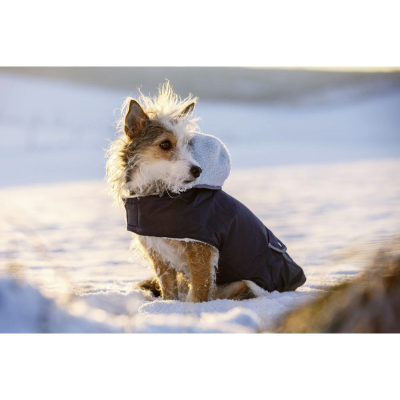 Качествено палто за куче Teddy