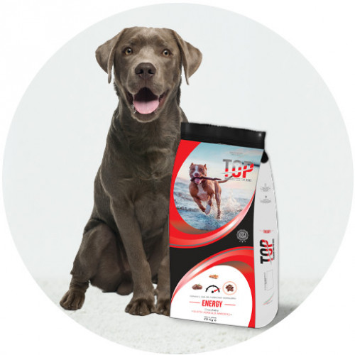 Top Dog - Energy 20кг