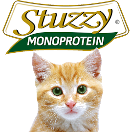 Stuzzy Cat Monoprotein