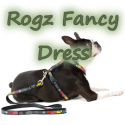Rogz Fancy Dress