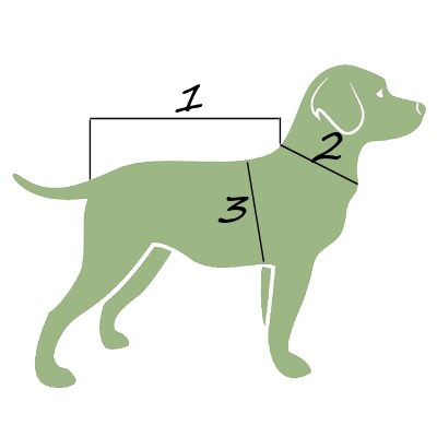 Как се определя размерна на кучешка дреха
