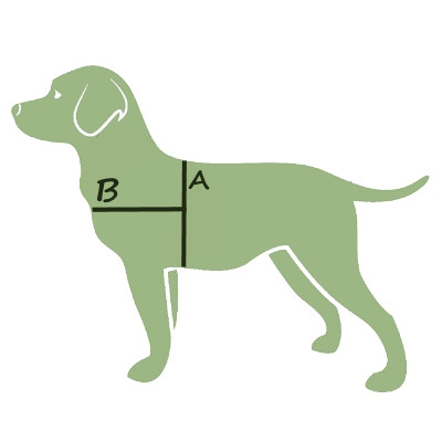 Как да изберем размер за нагръдника на кучето